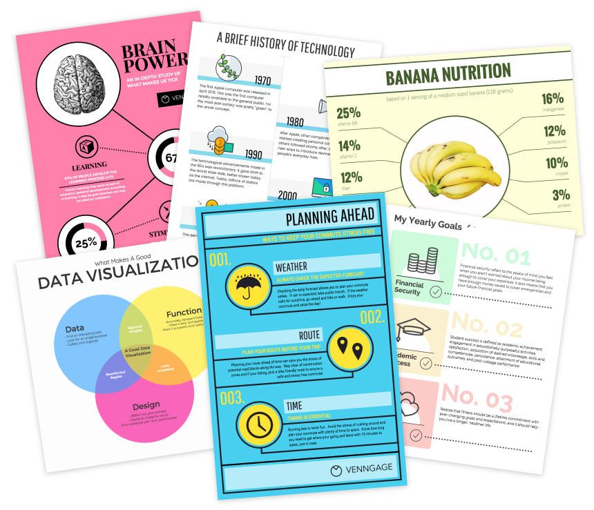 Kostenloser Infografik Ersteller Venngage